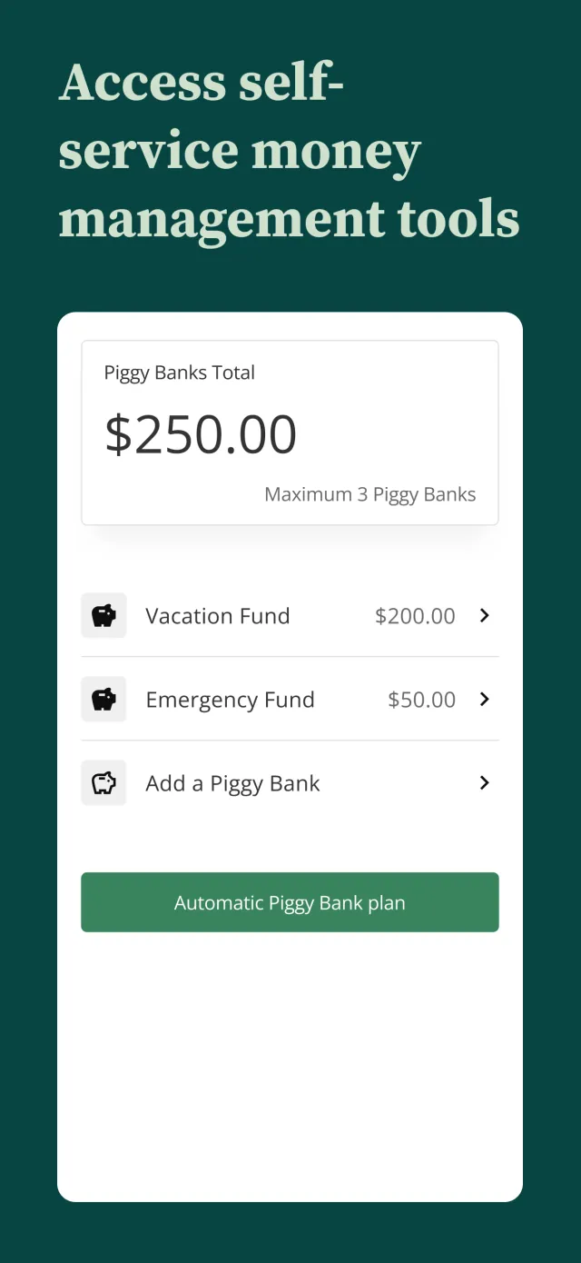 Direct Express® Mobile App - Screen 2