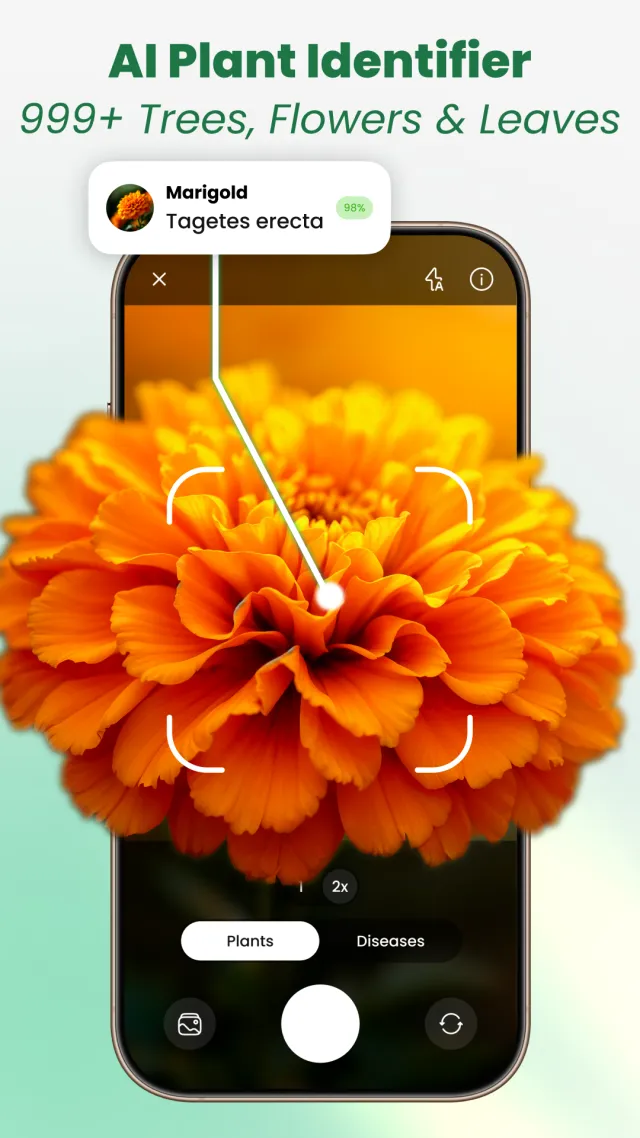 Plant Identifier: Tips & Care - Screen 1