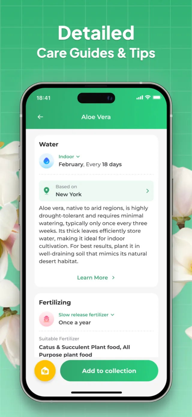 Plant Identifier: LeafSnap - Screen 4