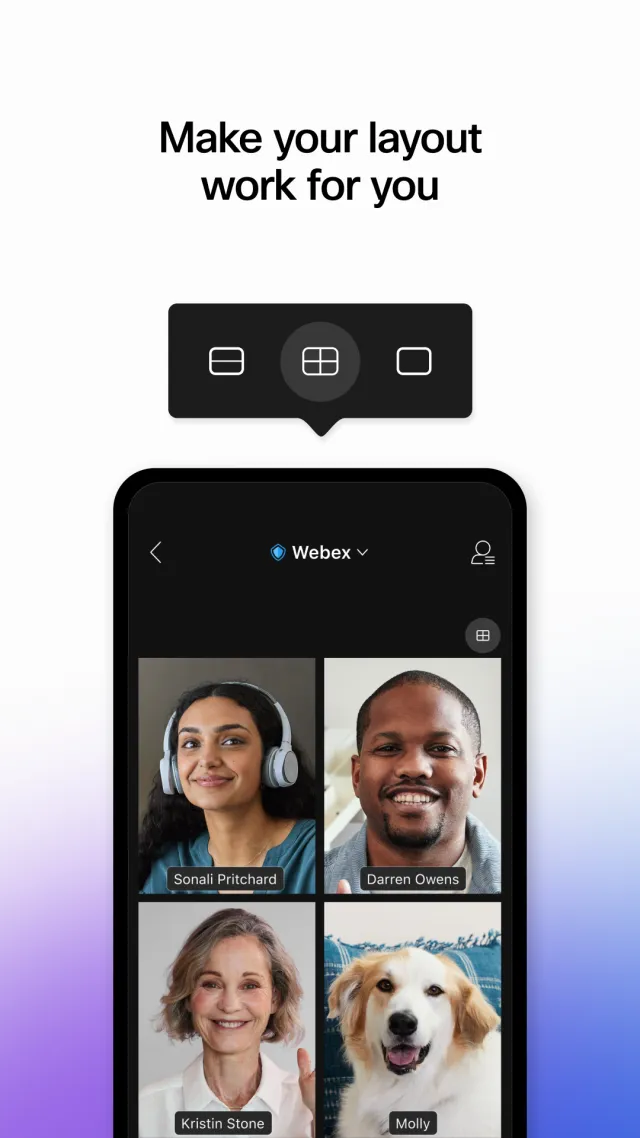 Webex Meetings - Screen 4