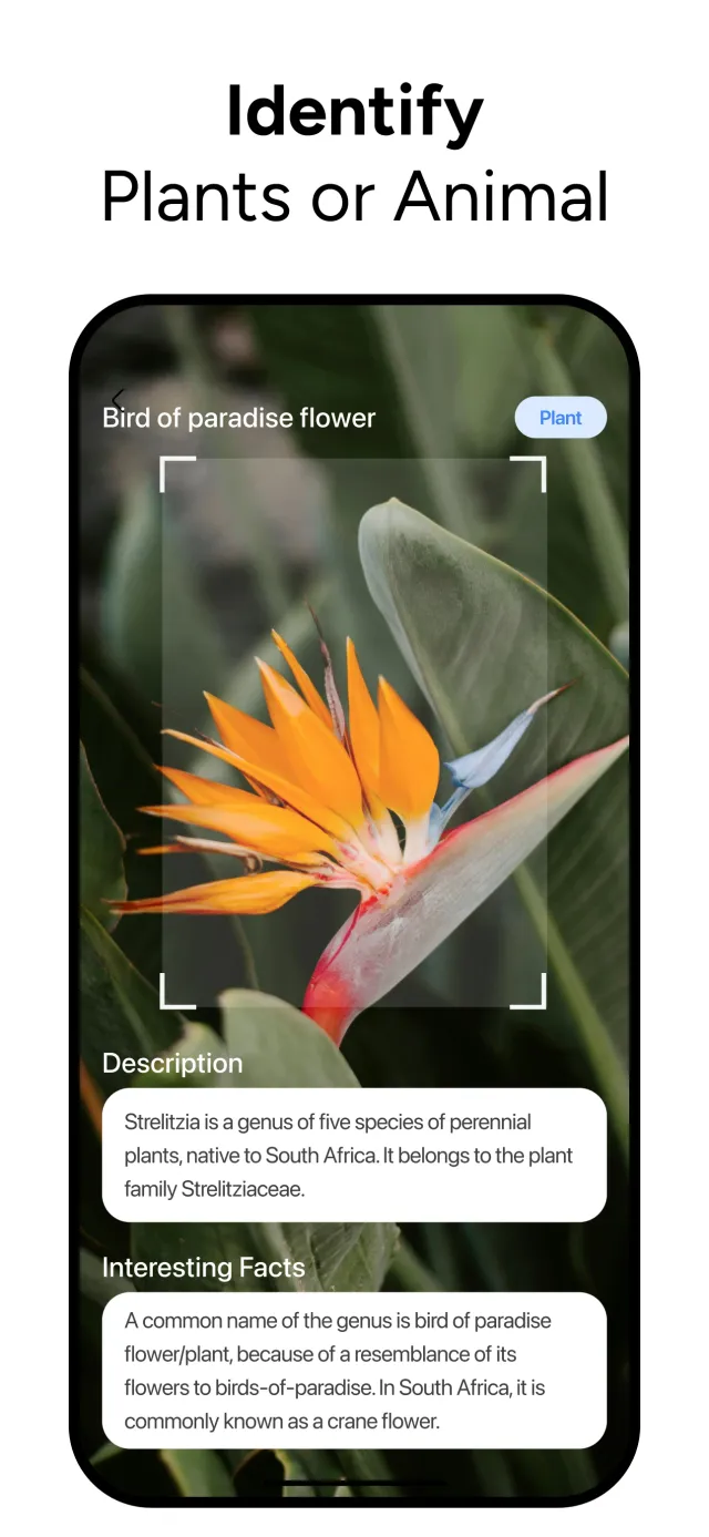 Lens AI & Reverse Image Search - Screen 2