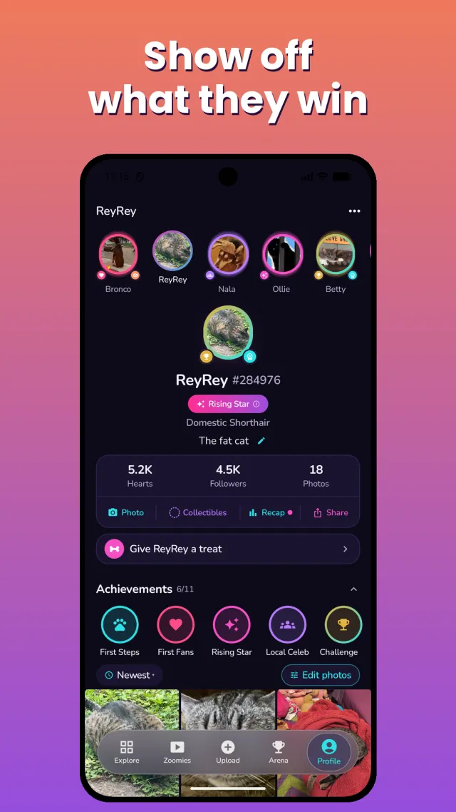 Only Floofs: Make Pets Famous - Screen 8