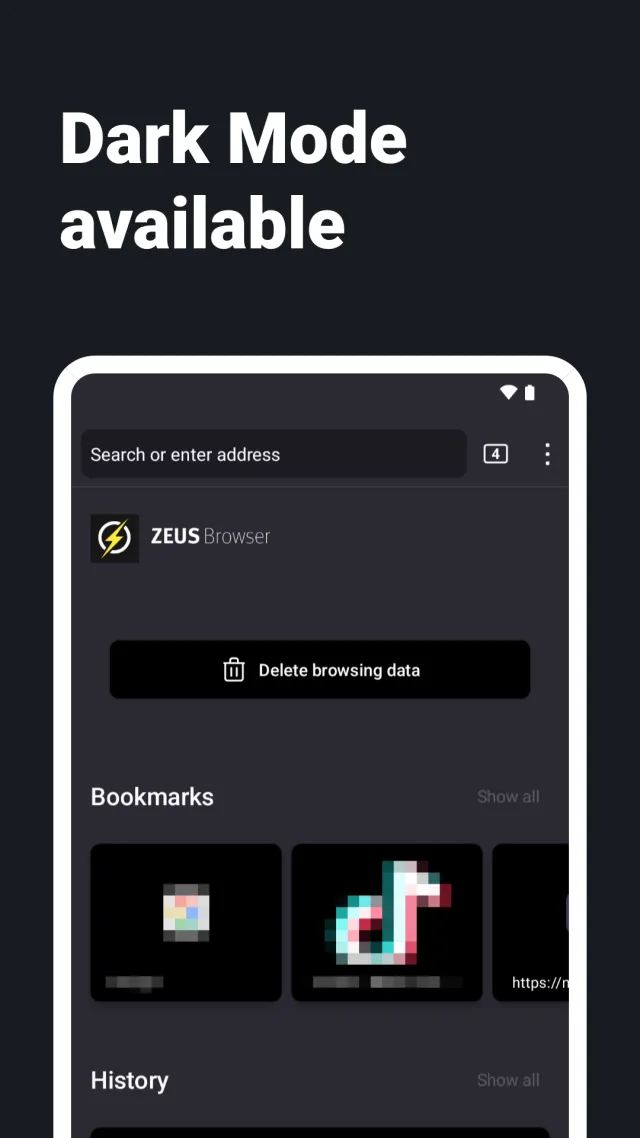 Internet Web Browser - ZEUS - Screen 2