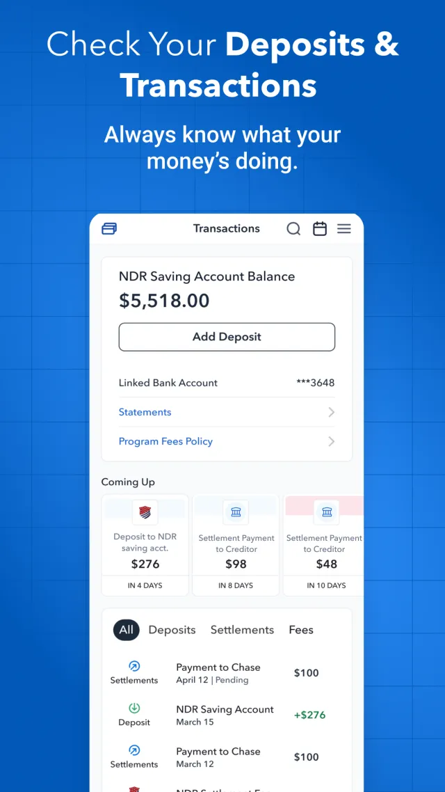 National Debt Relief - Screen 4