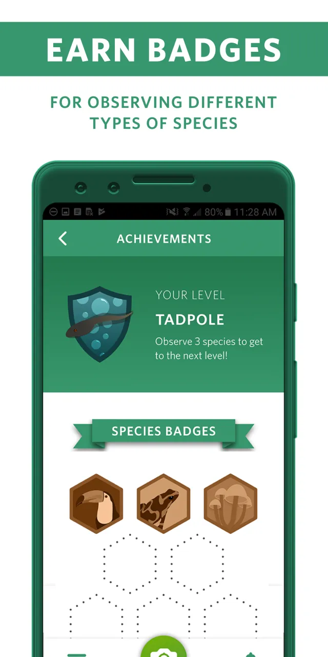 Seek by iNaturalist - Screen 4