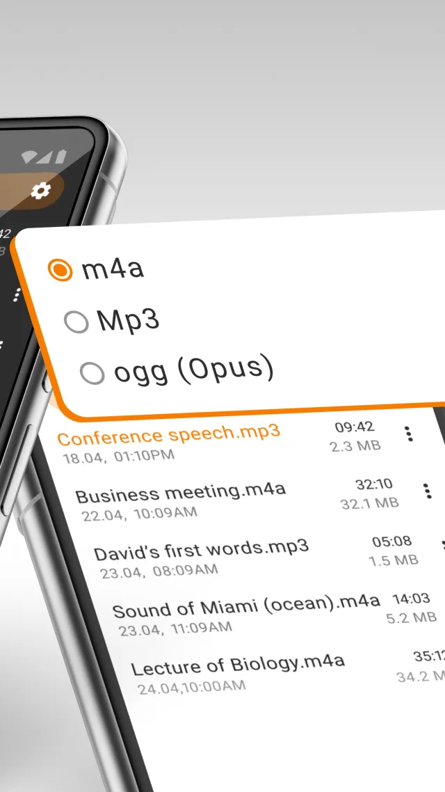 Simple Voice Recorder - Screen 4
