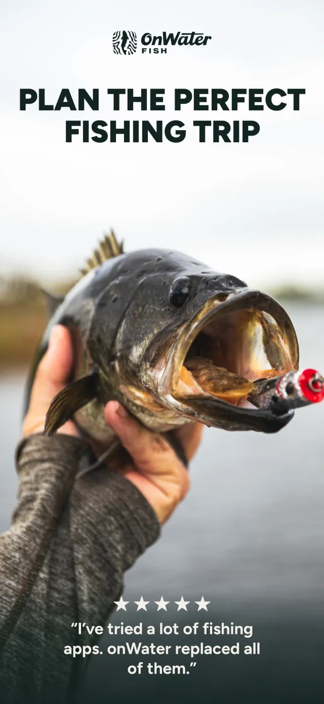 onWater Fish - Fishing Spots - Screen 1