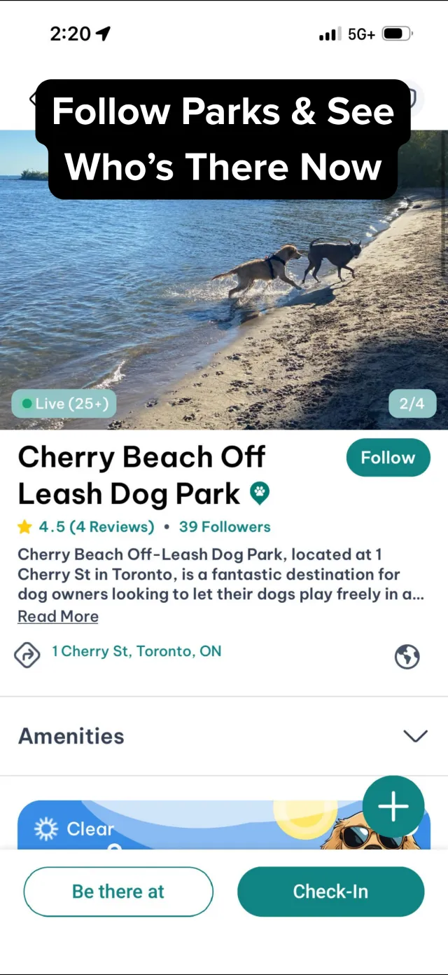 DogPack: Dog Friendly Spots - Screen 7