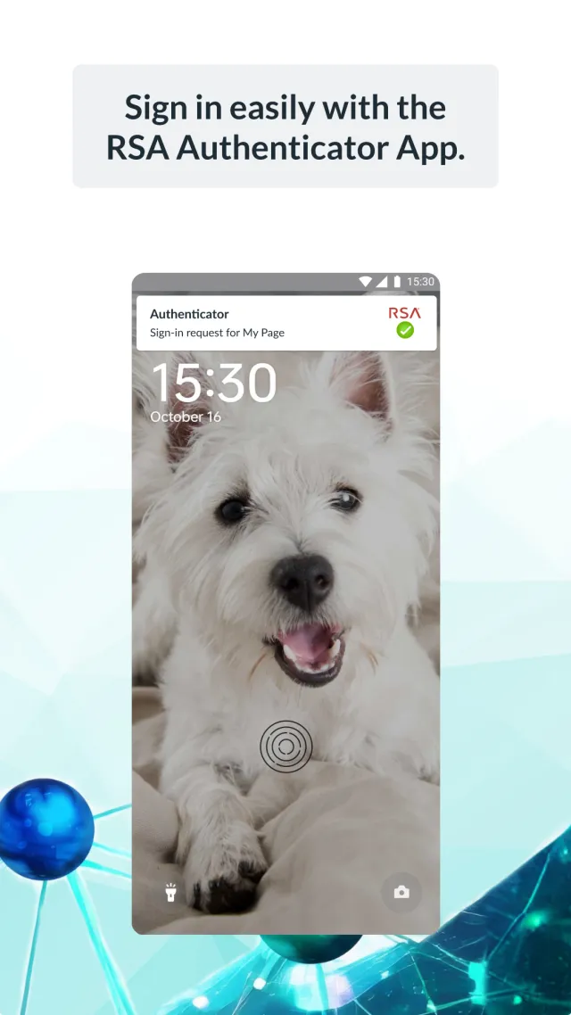 RSA Authenticator (SecurID) - Screen 4