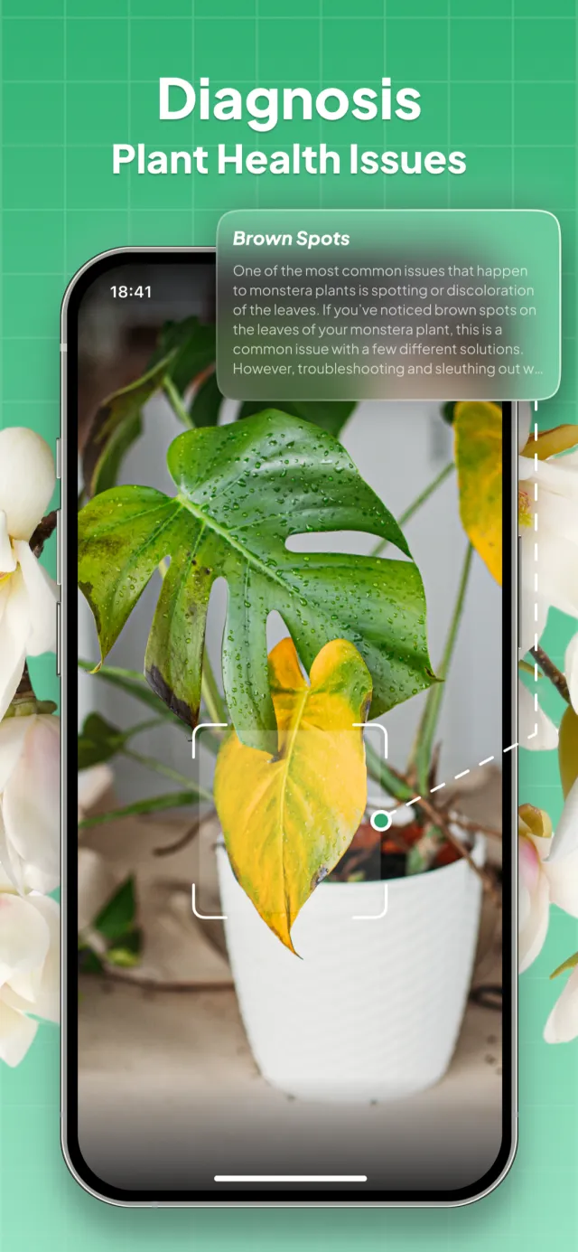 Plant Identifier: LeafSnap - Screen 3