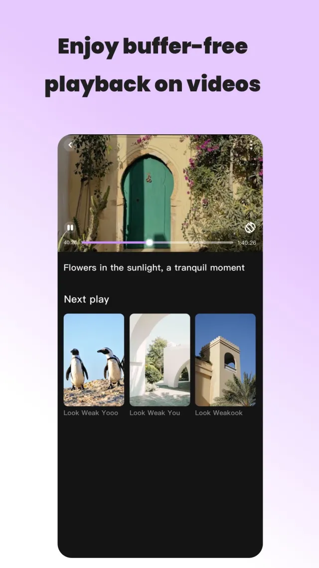 Vidzy-Well Organized - Screen 2