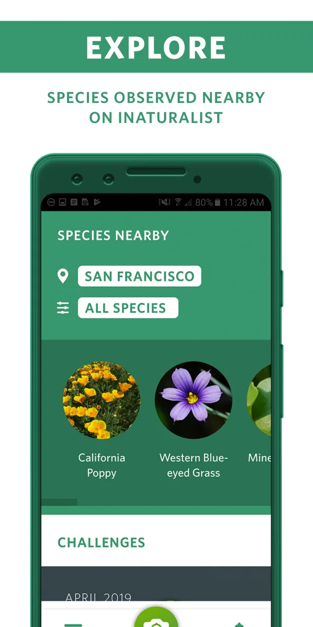 Seek by iNaturalist - Screen 5
