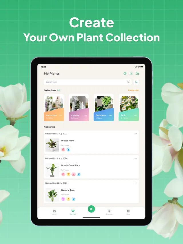 Plant Identifier: LeafSnap - Screen 8
