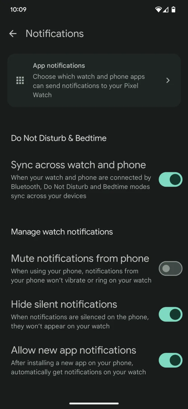 Google Pixel Watch - Screen 6