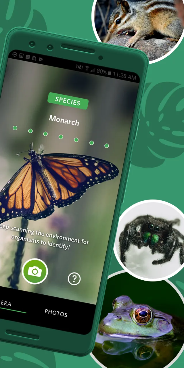 Seek by iNaturalist - Screen 2