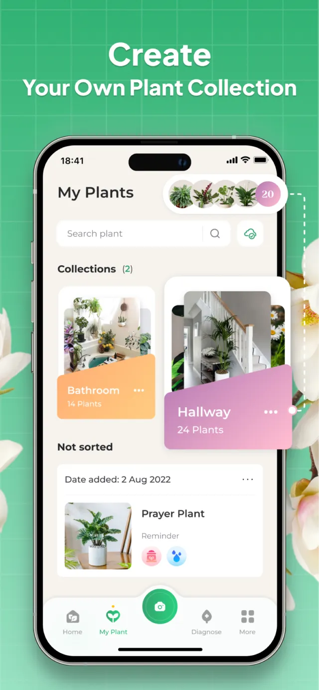 Plant Identifier: LeafSnap - Screen 2