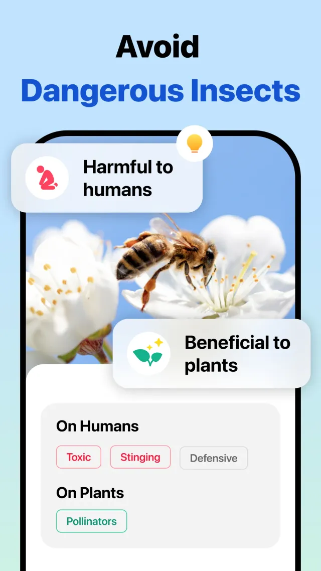 Picture Insect: Bug Identifier - Screen 3