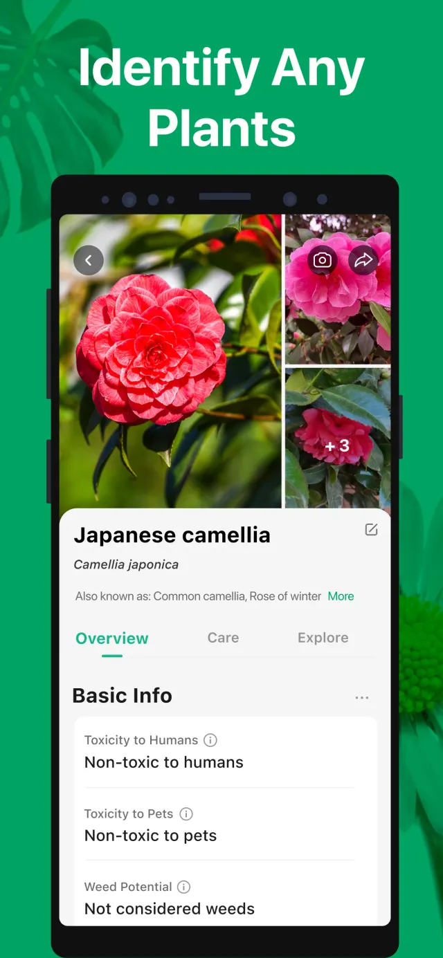 PictureThis - Plant Identifier - Screen 2