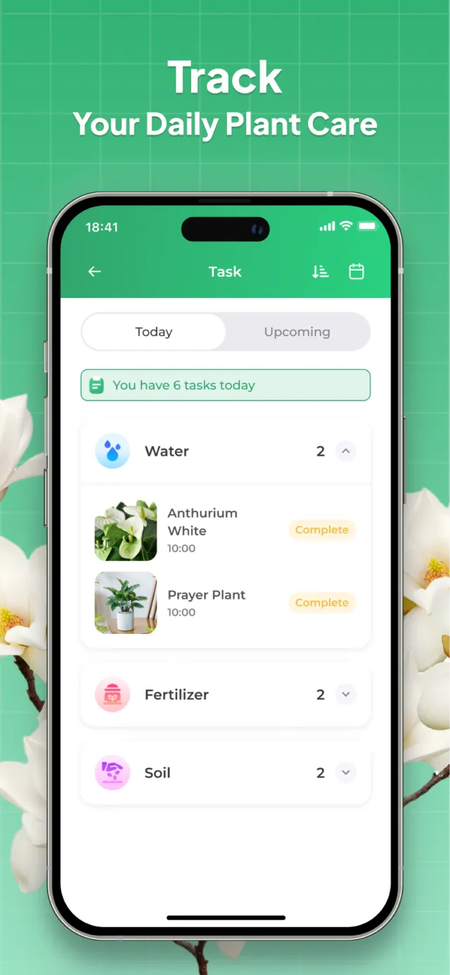 Plant Identifier: LeafSnap - Screen 5