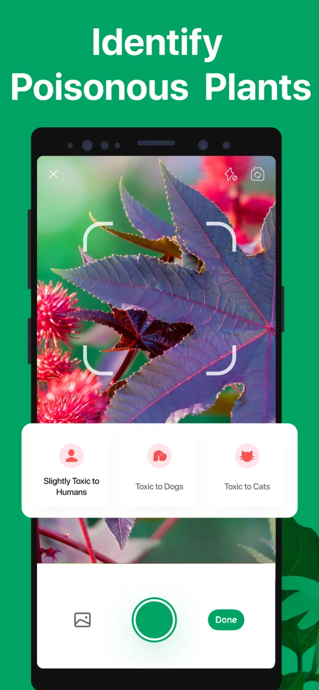 PictureThis - Plant Identifier - Screen 6