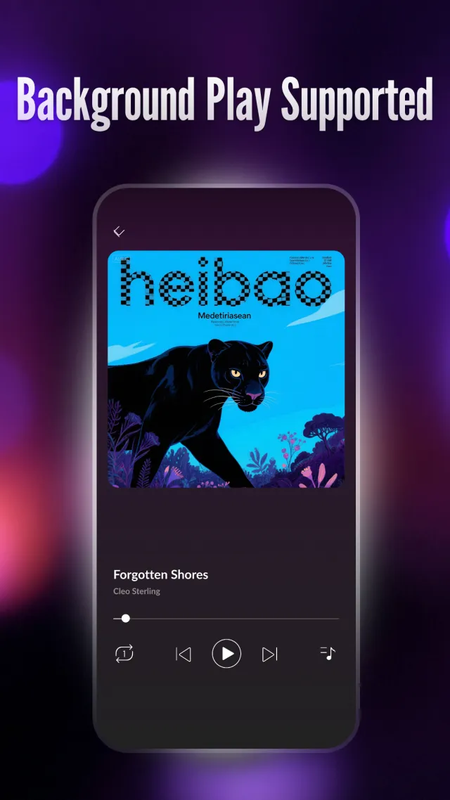Offline Player: Local Music - Screen 3