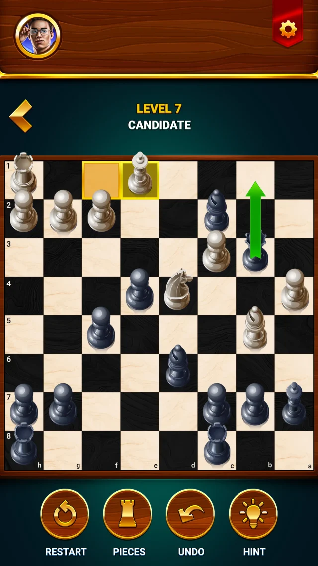 Chess - Offline Board Game - Screen 5