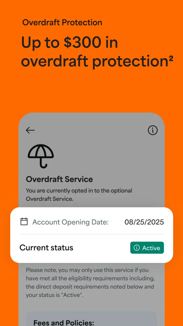 Netspend - Screen 3
