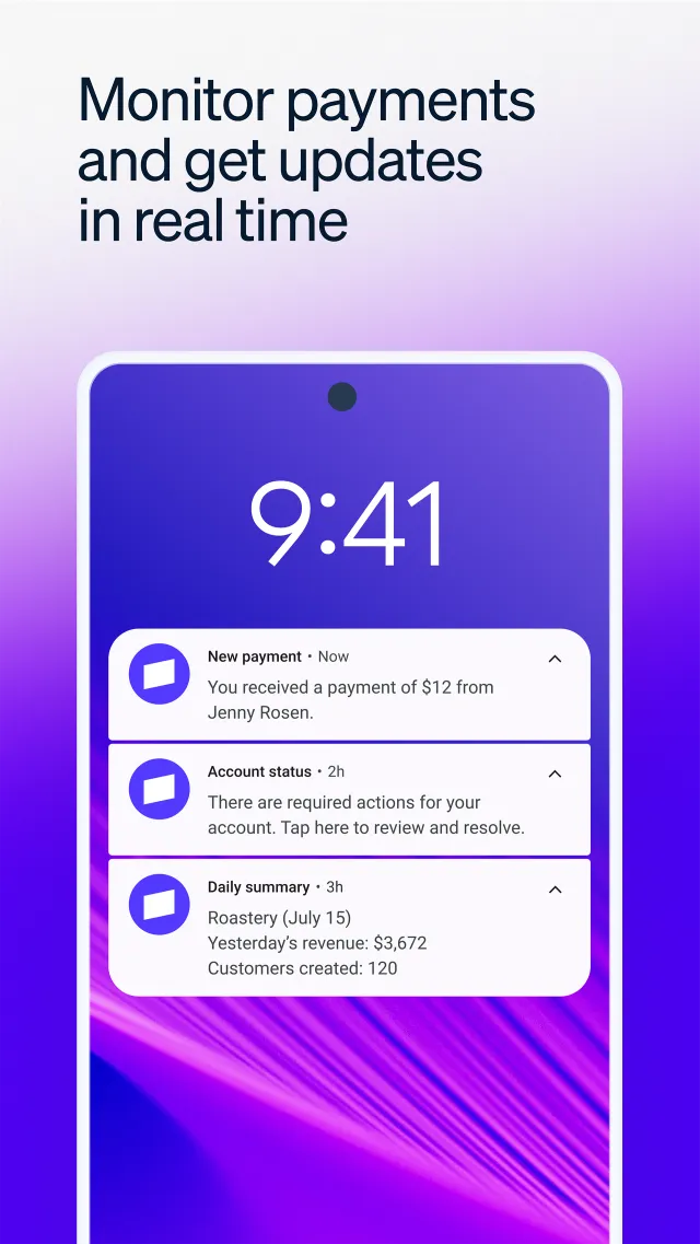 Stripe Dashboard - Screen 7
