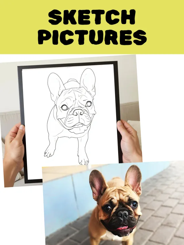 Colorify: Coloring Book Maker - Screen 7