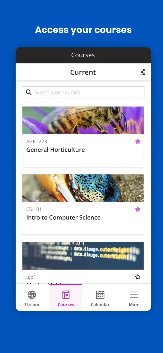 Blackboard - Screen 2