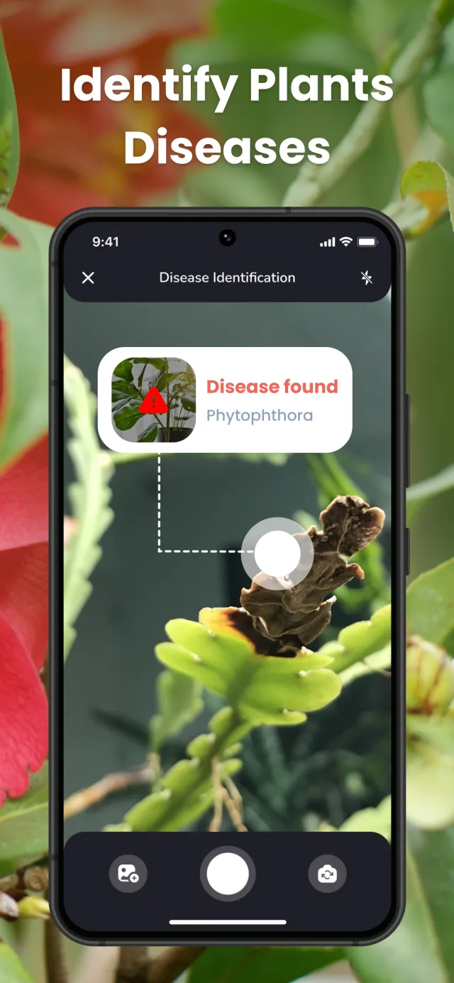 PlantIn Plant Identifier, Care - Screen 3