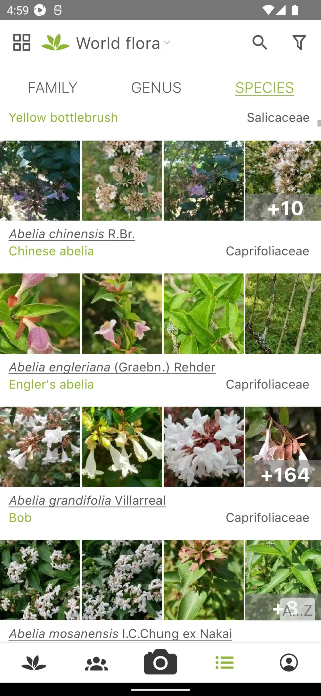 PlantNet Plant Identification - Screen 3