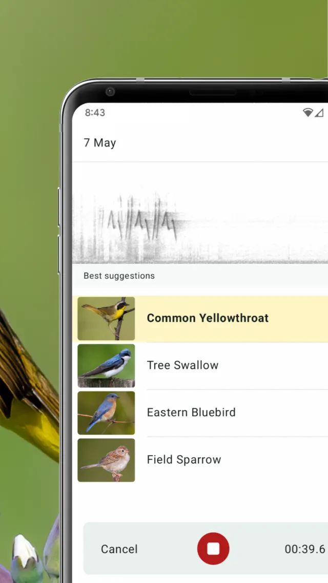 Merlin Bird ID by Cornell Lab - Screen 3
