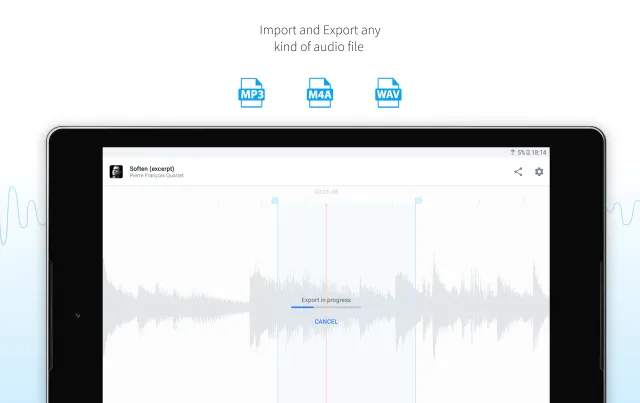 AudioStretch:Music Pitch Tool - Screen 5