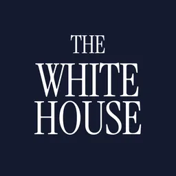 The White House icon