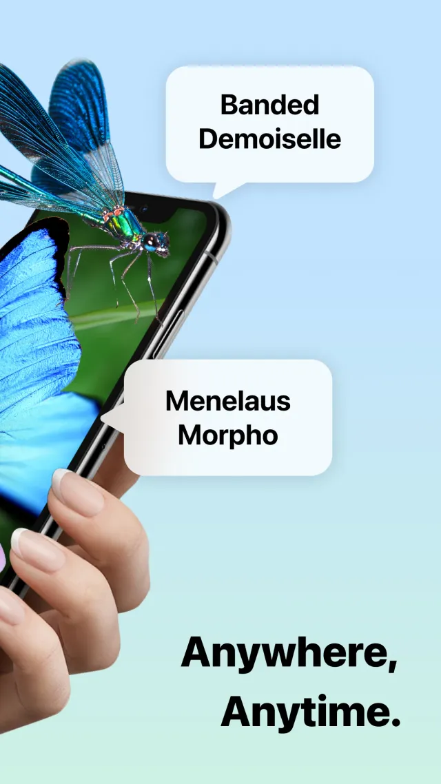 Picture Insect: Bug Identifier - Screen 2