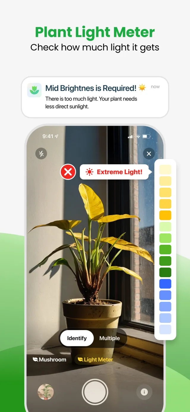 Plant App - Plant Identifier - Screen 7
