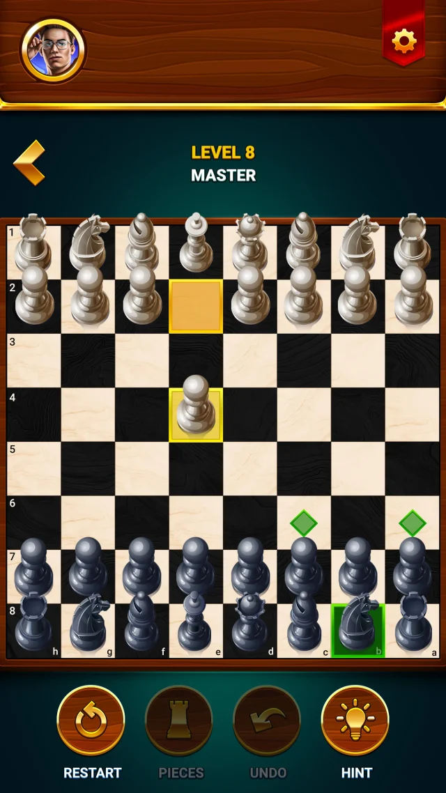 Chess - Offline Board Game - Screen 4