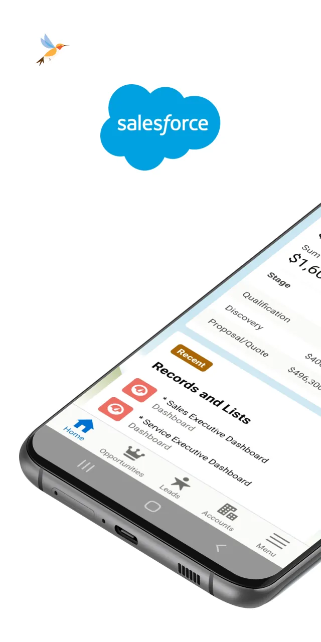 Salesforce - Screen 1