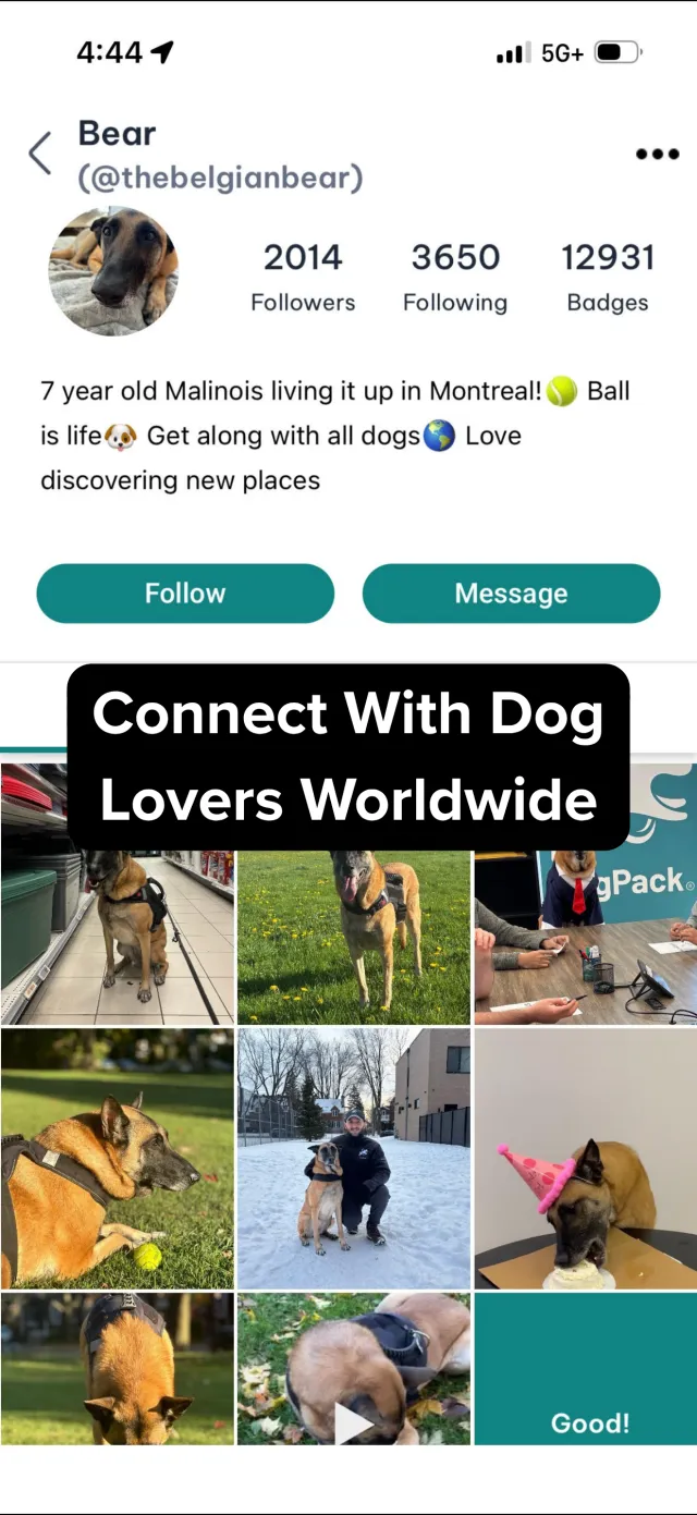 DogPack: Dog Friendly Spots - Screen 8