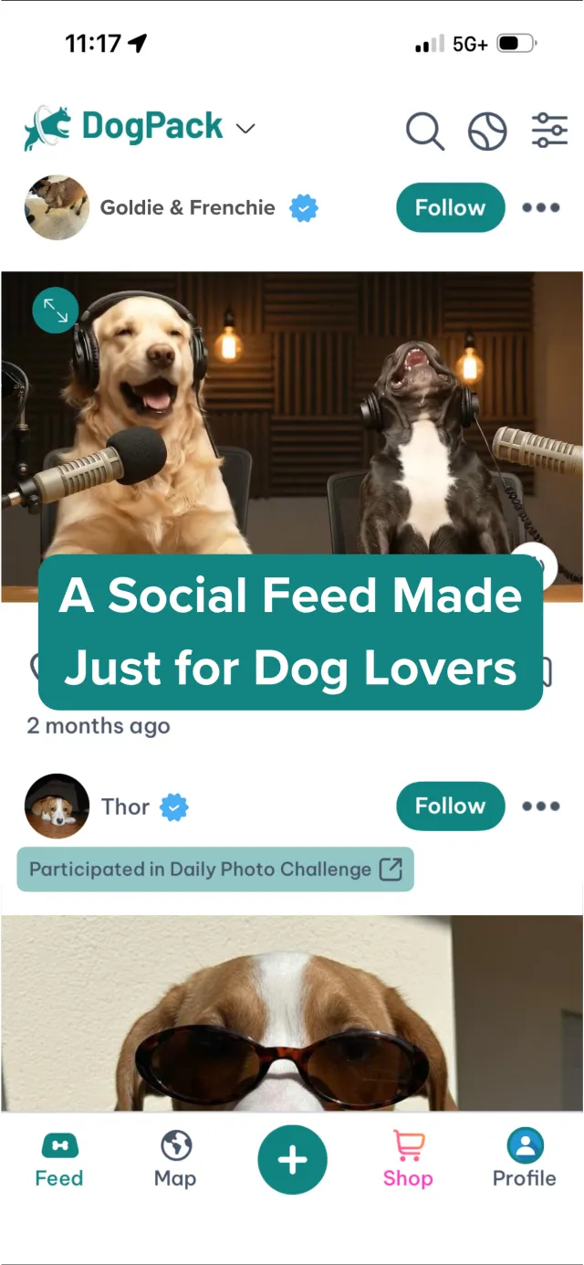 DogPack: Dog Friendly Spots - Screen 2
