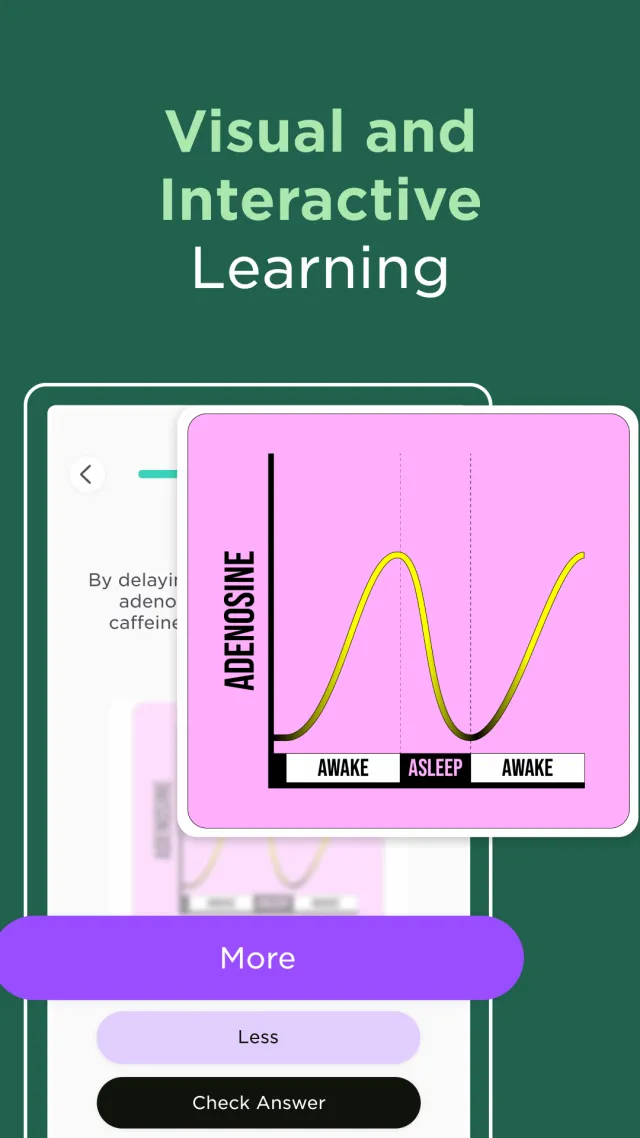 Imprint: Learn Visually - Screen 2