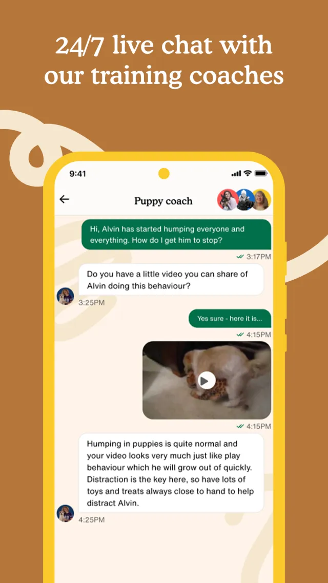 Zigzag - Dog & Puppy Training - Screen 5