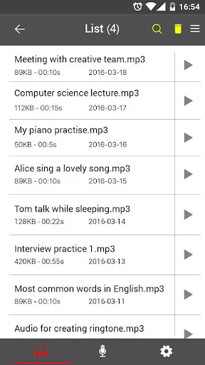 Voice Recorder - Screen 3