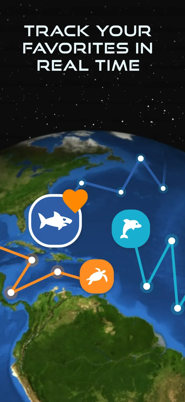 OCEARCH Shark Tracker™ - Screen 2