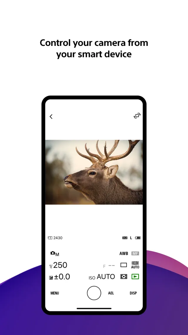 Sony | Creators' App - Screen 7