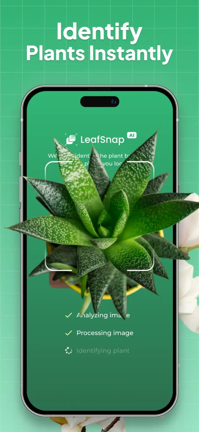 Plant Identifier: LeafSnap - Screen 1