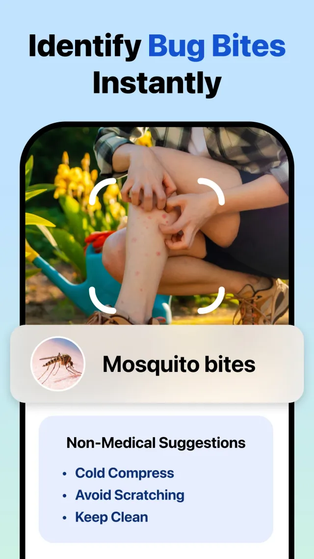Picture Insect: Bug Identifier - Screen 4