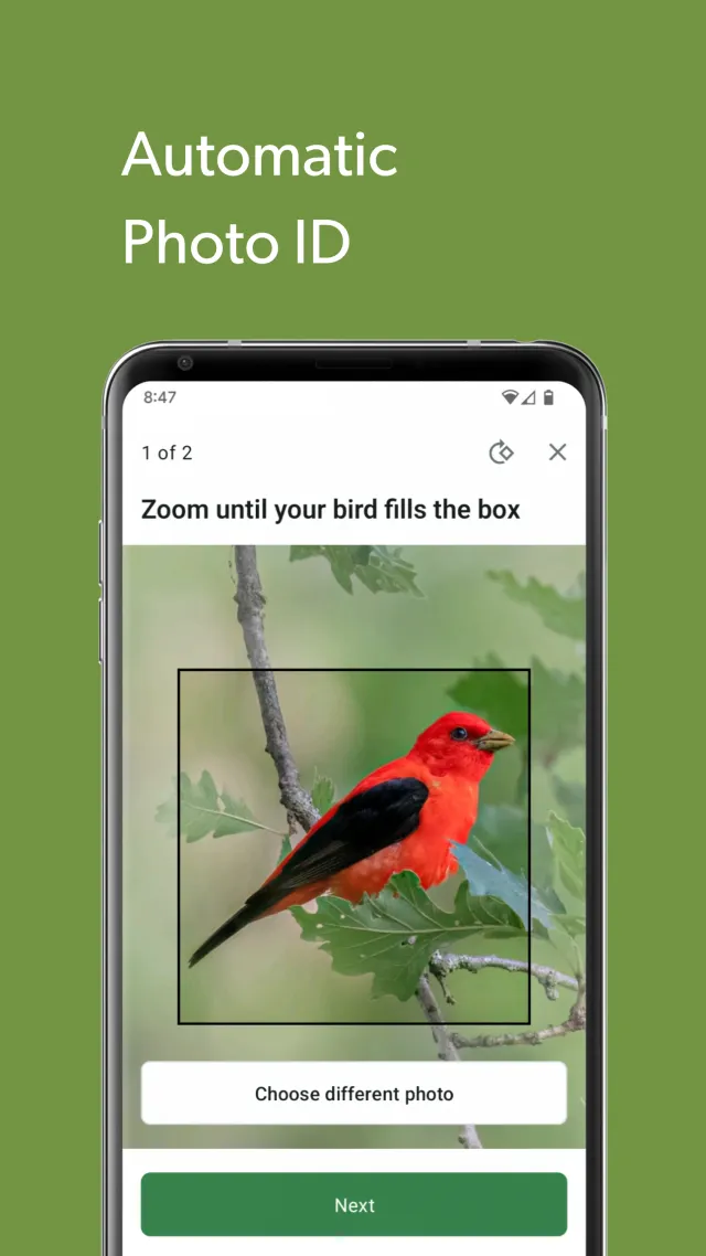 Merlin Bird ID by Cornell Lab - Screen 6