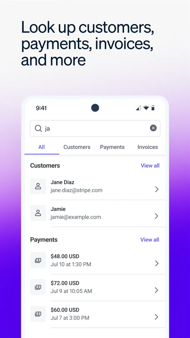 Stripe Dashboard - Screen 5